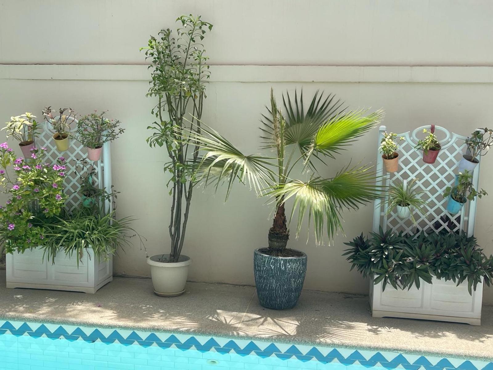 Villa Ngore Saly Exterior photo